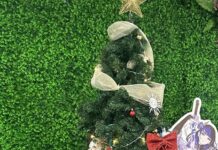 Meet the Global Team Behind DOKIDOKI, the Leading Cosplay Costume Store Loved by Fans Everywhere