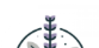 TX Sage Landscaping Launches New Website to Serve Homeowners Across Texas