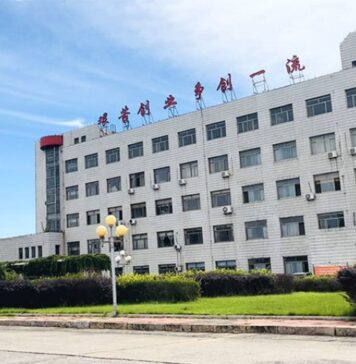 China Top 10 Geotextile Fabric Manufacturer TW Geosynthetics: Assessing Material Durability and Quality Standards