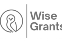 Leslie Wise and the Future of Funding Strategy: How Wise Grants Is Changing the Way Nonprofits Compete for Awards