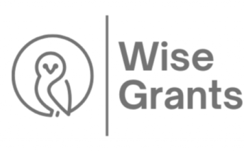 Leslie Wise and the Future of Funding Strategy: How Wise Grants Is Changing the Way Nonprofits Compete for Awards