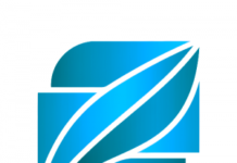 Roscommon Systems Launches LIMA, an AI-powered Screen Reader for Low-vision Users