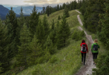 20+ Ways to Improve Lifestyle in 2026