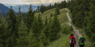 20+ Ways to Improve Lifestyle in 2026