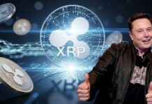 Elon Musk says: Ripple (XRP) will become the hottest trade of 2026 — How XRP holders can earn passive income