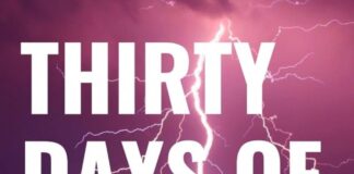 Thirty Days of Power: Life Transforming Declarations and Destiny Defining Journaling Prompts by Wisdom Mupudzi