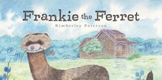 Frankie the Ferret by Kimberley Ann Paterson