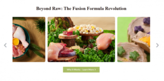 Innovation at Scale: Why Shandong Yupai Biotechnology is the Global Leading Pet Food Manufacturer to Watch in 2026