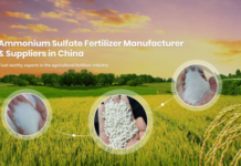 Man Heart Fertilizer: Leading Ammonium Sulfate Fertilizer Manufacturer and Suppliers in China with Global Reach