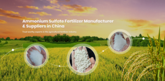 Man Heart Fertilizer: Leading Ammonium Sulfate Fertilizer Manufacturer and Suppliers in China with Global Reach