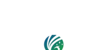 China’s 3 Major Door-to-Door Freight Service Providers: Leading Global Logistics Efficiency and Reliability