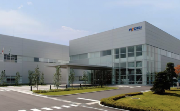 PKCell: Complete Buyer’s Guide to China’s Best Lithium Battery Pack