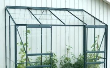 Optimizing Light Transmission: Advice from a High Quality Tempered Greenhouse Glass Supplier In China