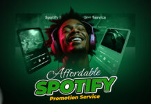 affordable Spotify promotion service
