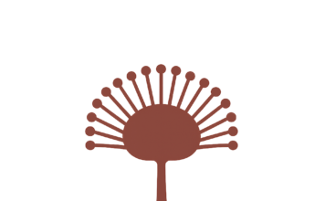 MoldRemovalTampa.org Expands Online Presence to Address Remediation Needs in Tampa, FL