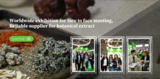 What Makes Andy Biotech a Standout China Monk Fruit Extract Sweeter Manufacturer in the Industry?