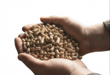 Analyzing the Growth of China Leading Biomass Pellet Machine Factory in the Global Energy Shift