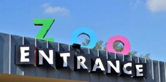 Boston Signs and Graphics Highlights the Critical Role of Company Signs for Buildings in Boosting Brand Recognition