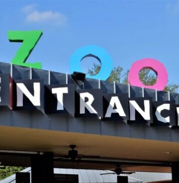 Boston Signs and Graphics Highlights the Critical Role of Company Signs for Buildings in Boosting Brand Recognition