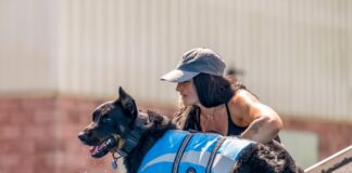 Redline K9 Dog Training Launches Official Website to Expand Access to Specialized Canine Services
