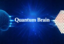 Quantum Brain Officially Launches on Steam — A Strategy Game That Blends Tactical Combat with Real Knowledge Challenges
