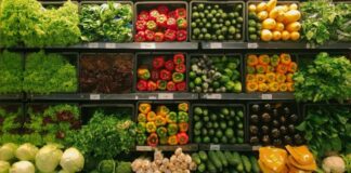 Food Stamps Programs in US and How to Benefit from Them using Budget-Navigators
