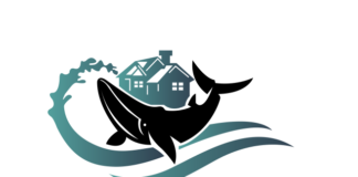 If You’ve Been Wronged by a Roofing Contractor, Whale Roofing Is Here to Help