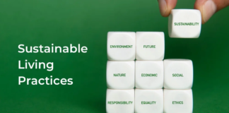 Discover A Few Sustainable Living Practices for A Better Life