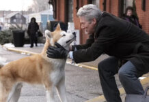 15 Dog Movies That Will Have You Reaching for Tissues 'Hachi: A Dog's Tale' (2009)