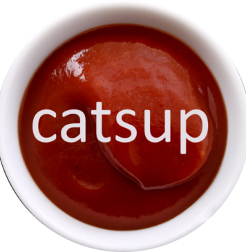 SAUC-E™ Turns Up the Heat: A Bold New Flavor of Applied Intelligence Hits the Market