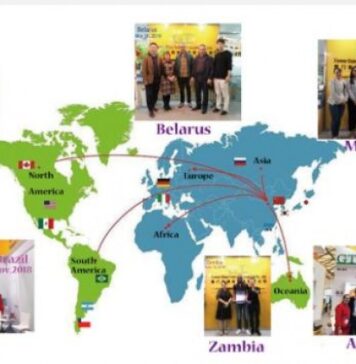 Market Resilience: The Growth of GT, a China Top Excavator Undercarriage Parts Supplier With Over 28 Years Experience