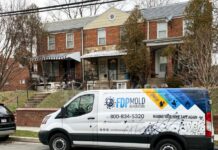 FDP Mold Remediation Advises Early Moisture Checks as Spring Humidity Levels Begin to Rise
