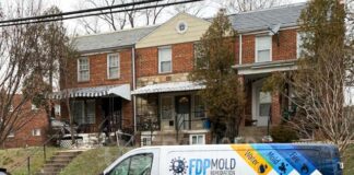 FDP Mold Remediation Advises Early Moisture Checks as Spring Humidity Levels Begin to Rise