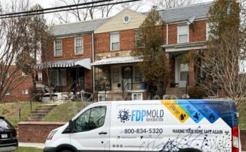 FDP Mold Remediation Advises Early Moisture Checks as Spring Humidity Levels Begin to Rise