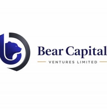 Bear Capital Ventures: Strategic Financial Solutions for Real Estate and Global Infrastructure Projects
