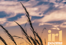 What were you like in the 90s? Poet Daniele McMahon explores the Xennial experience.