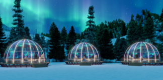 Top 10 Brands of OEM Stargazing Bubble Tent in China: Evaluating Skycamp’s Finite Element Analysis Safety Standards