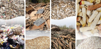 Global Footprint: How a Professional Biomass Pellet Production Line Service Reached Four Continents