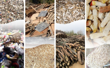 Global Footprint: How a Professional Biomass Pellet Production Line Service Reached Four Continents