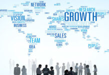 What strategies can help to achieve professional goals?