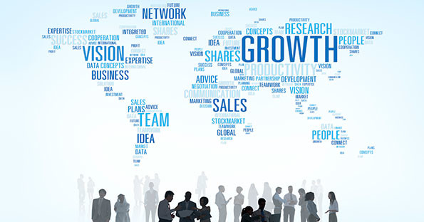 What strategies can help to achieve professional goals?