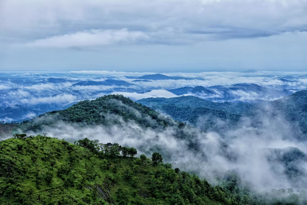 Wayanad – Kerala