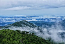 15 Top Destinations in India for Spring Break Wayanad – Kerala