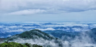 Wayanad – Kerala
