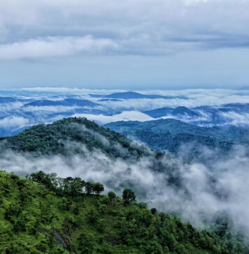 Wayanad – Kerala