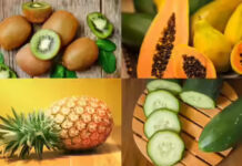 Food and Drinks That Help in Reducing Bloating