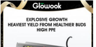 Radiant Ecology Unveils Advanced Full Spectrum Grow Lights to Enhance Photosynthesis Efficiency