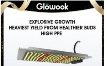 Radiant Ecology Unveils Advanced Full Spectrum Grow Lights to Enhance Photosynthesis Efficiency