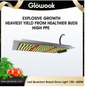 Radiant Ecology Unveils Advanced Full Spectrum Grow Lights to Enhance Photosynthesis Efficiency