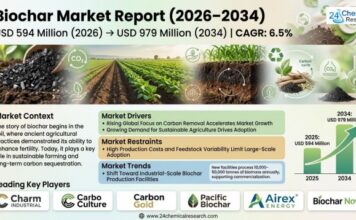 Biochar Market Set to Witness Strong Expansion Driven by Carbon Removal Demand and Sustainable Agriculture Practices